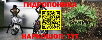 твердый Новокубанск