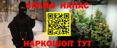 хмурый Новозыбков