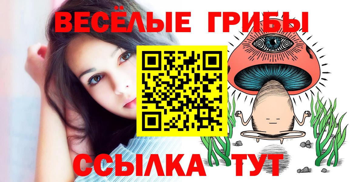 Псилоцибиновые грибы Cubensis Симферополь